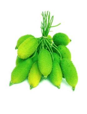 .Teasle Gourd - 500g