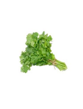 CORIANDER LEAVES