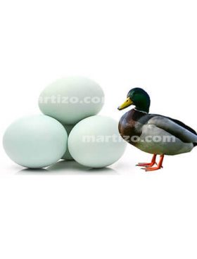 Duck Egg copy