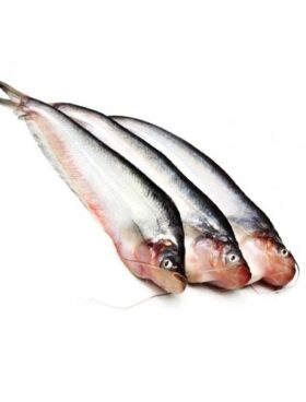 Pabda Fish (Big Size) - 500g